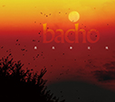 bacho/最高新記憶